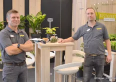 Robin van Marwijk and Vincent Hopman with Elsgeest young plants